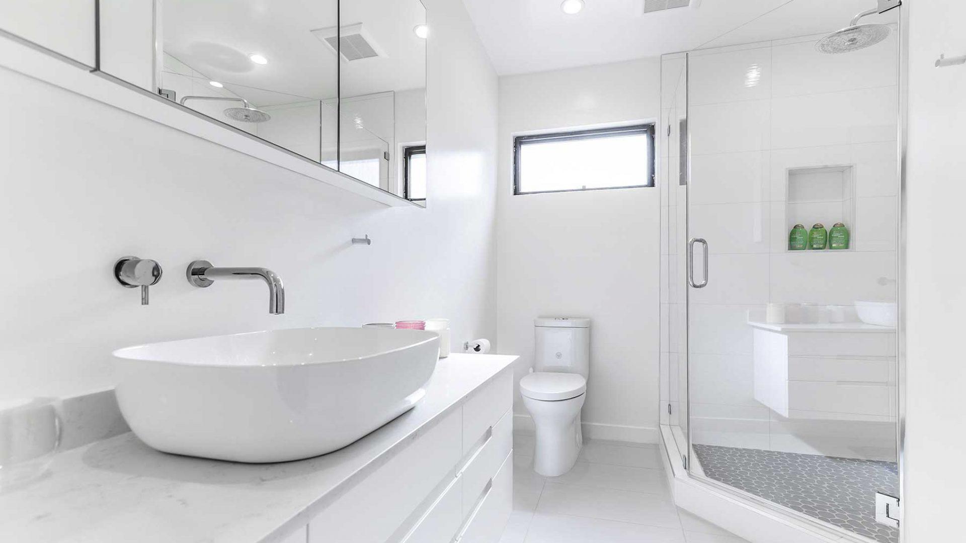 Fremont Renovation Project